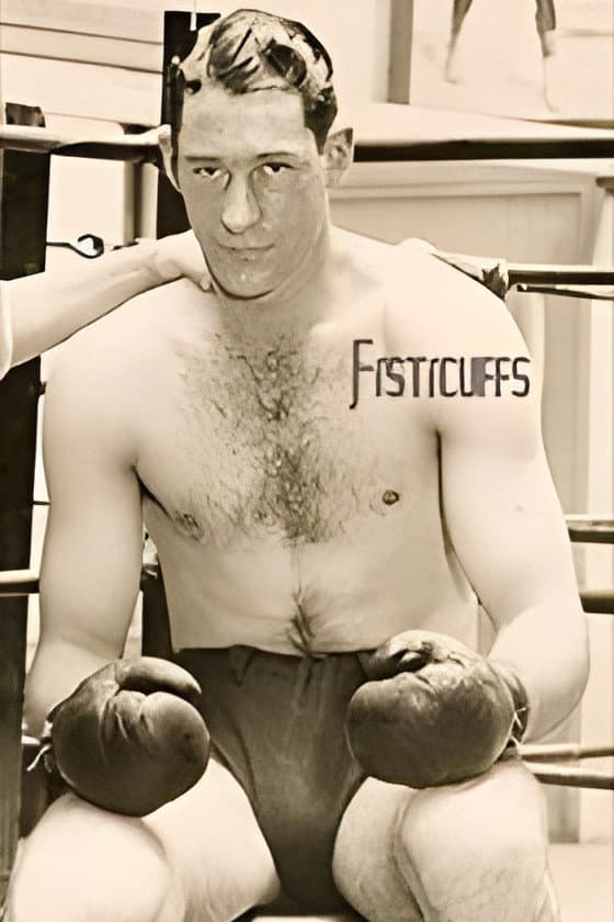 Poster di Fisticuffs