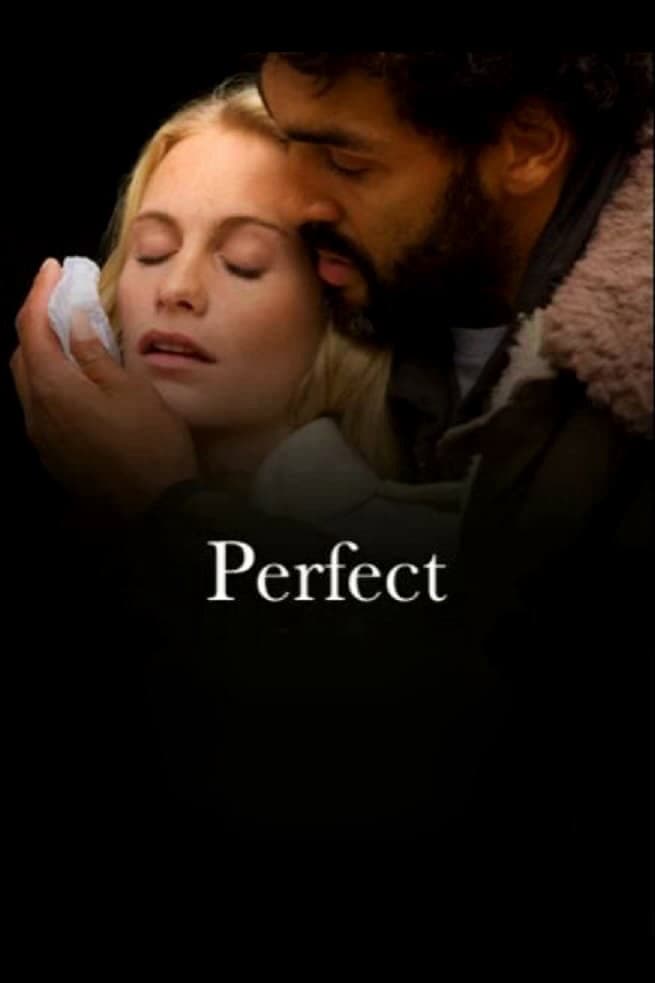 Poster di Perfect