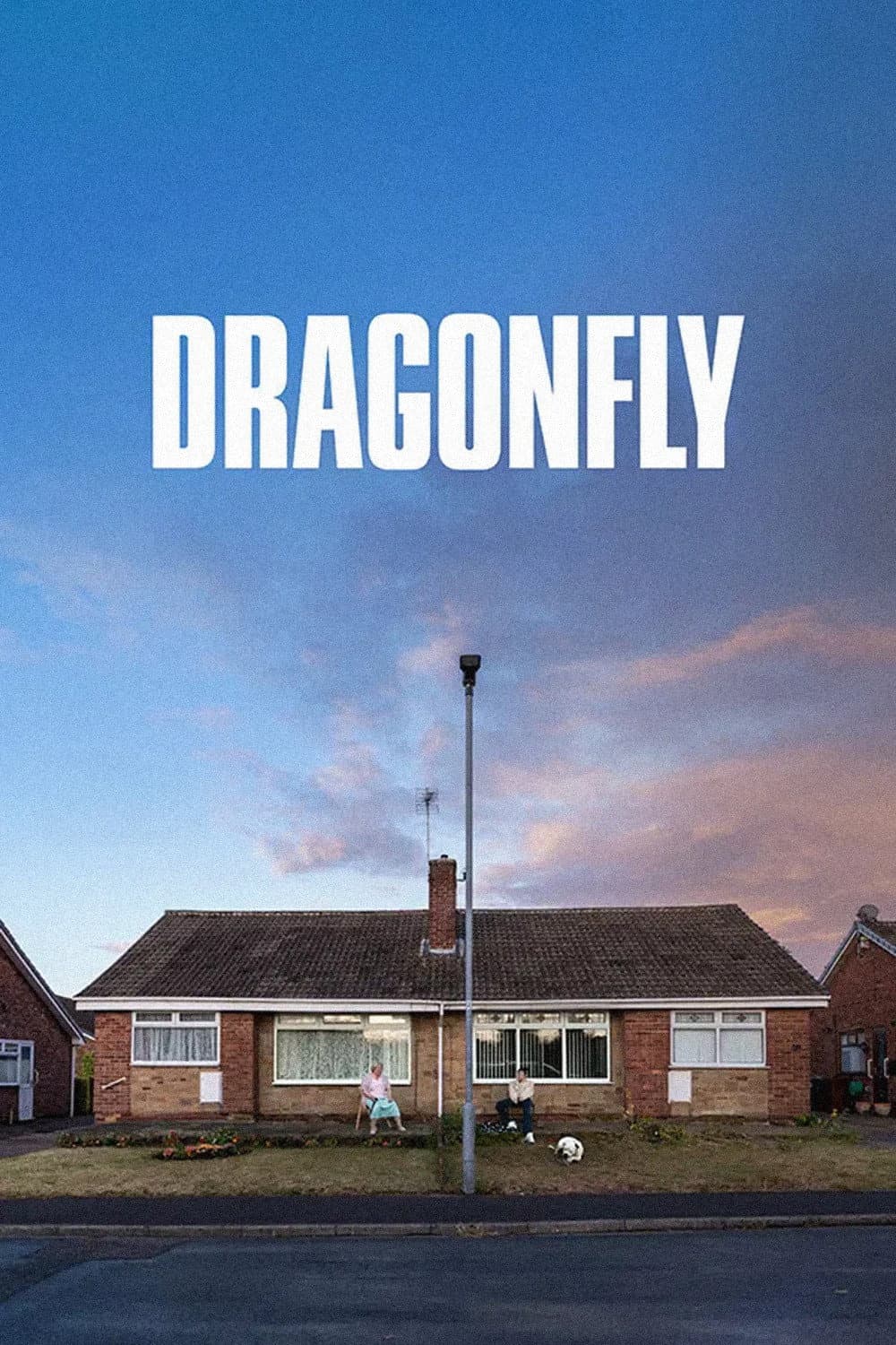 Poster di Dragonfly