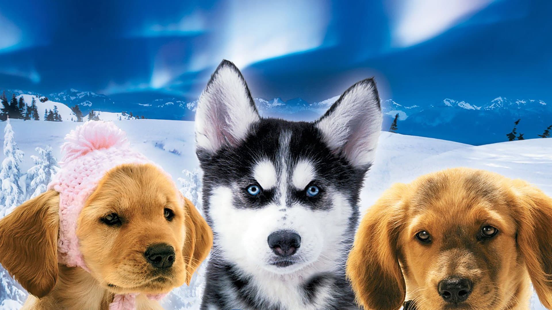 Supercuccioli sulla neve - immagine