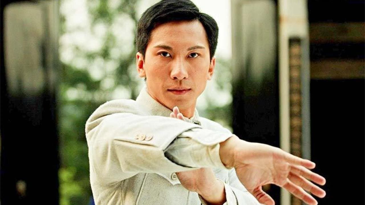 The Legend Is Born: Ip Man - immagine