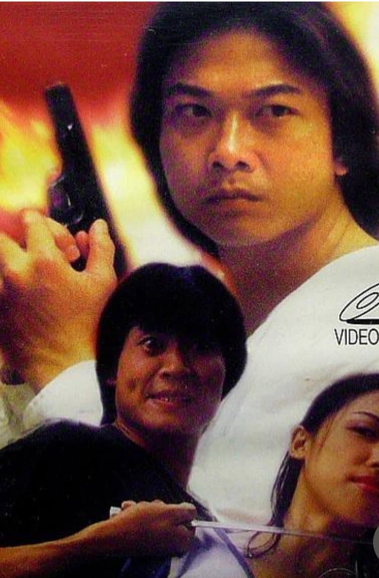 Poster di 龍鳳雙英