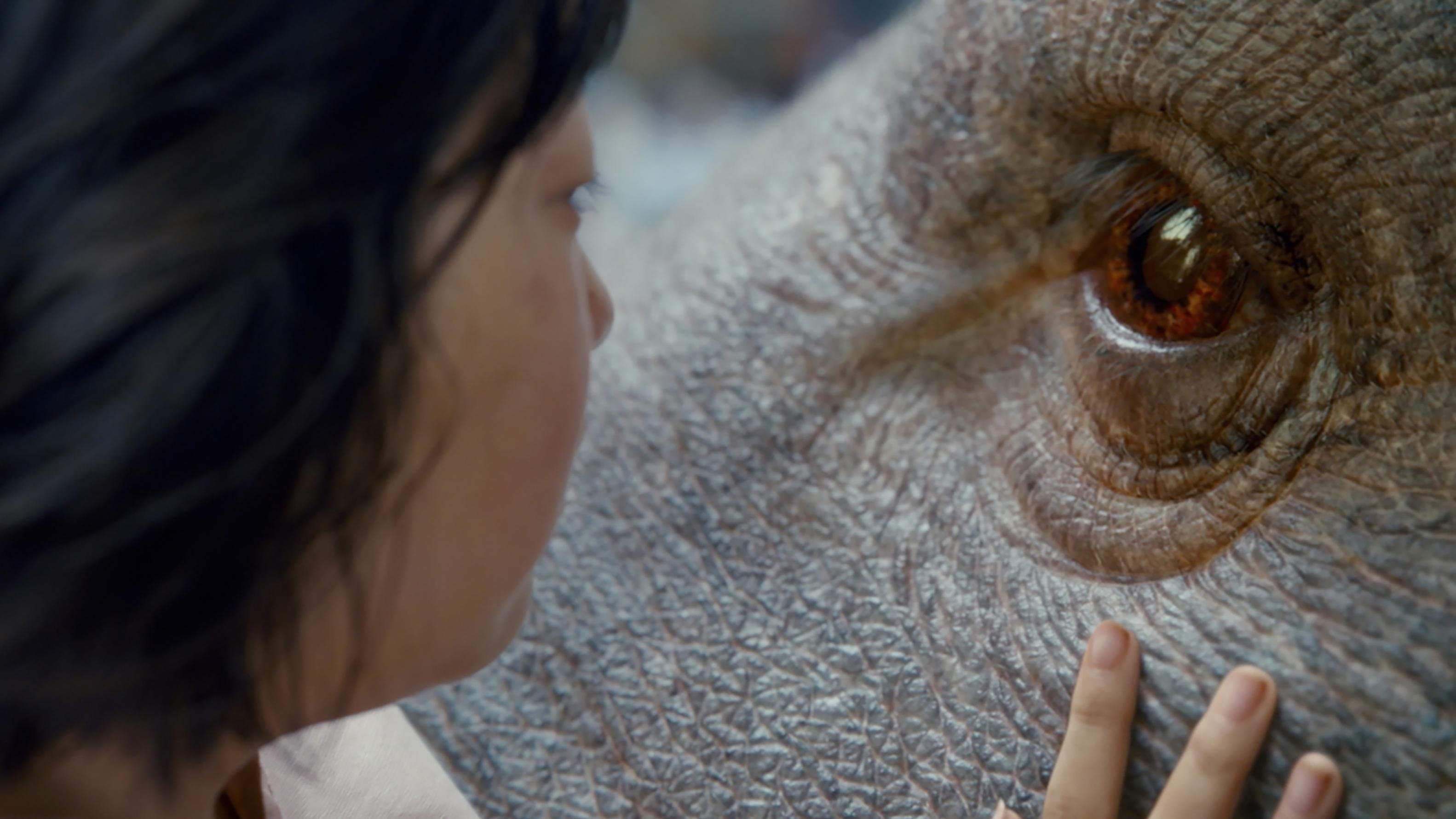Okja - immagine
