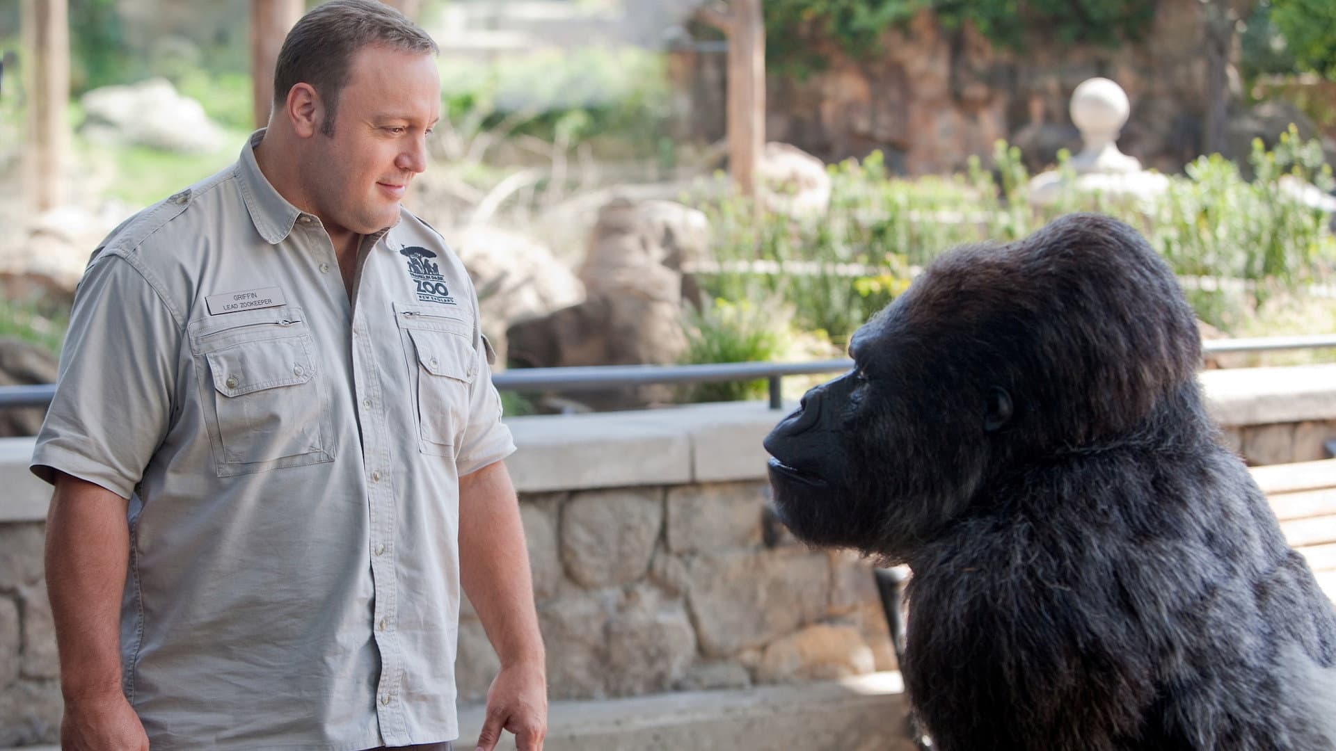 Il Signore dello Zoo - immagine