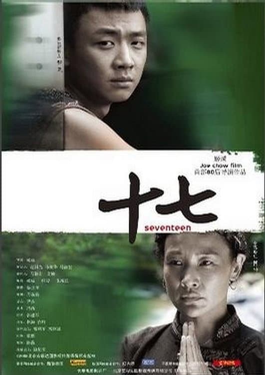 Poster di 十七