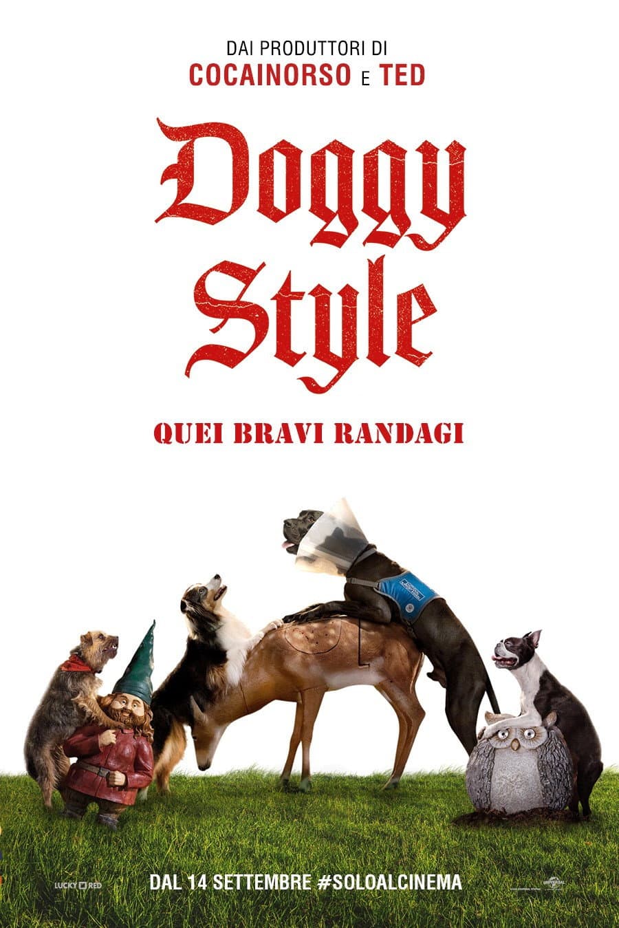 Poster di Doggy Style - Quei bravi randagi
