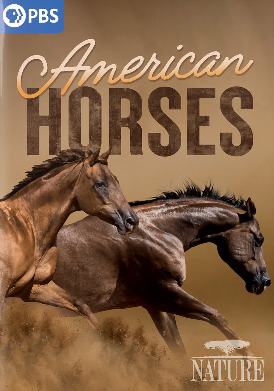 Poster di American Horses