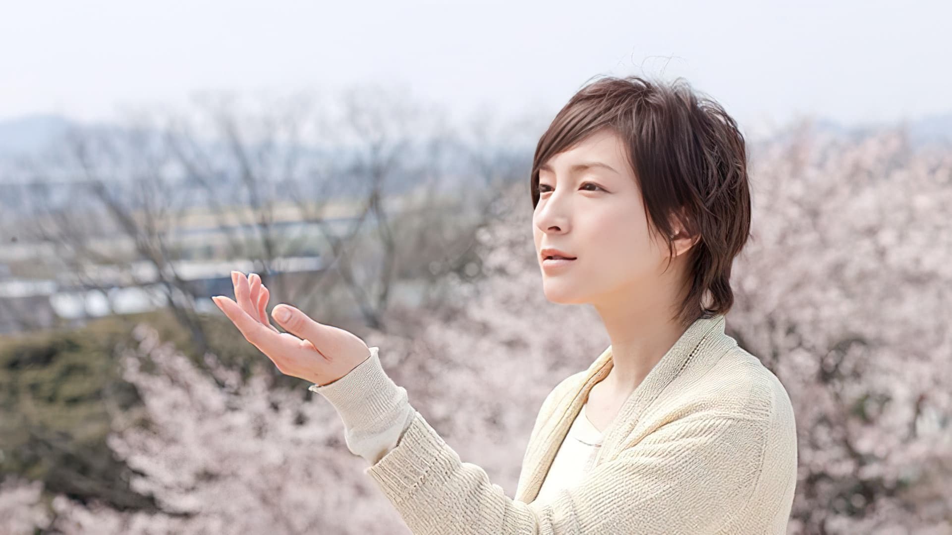 桜、ふたたびの加奈子 - immagine