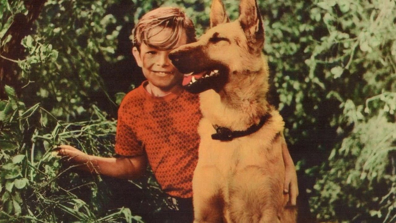 A Dog's Best Friend - immagine