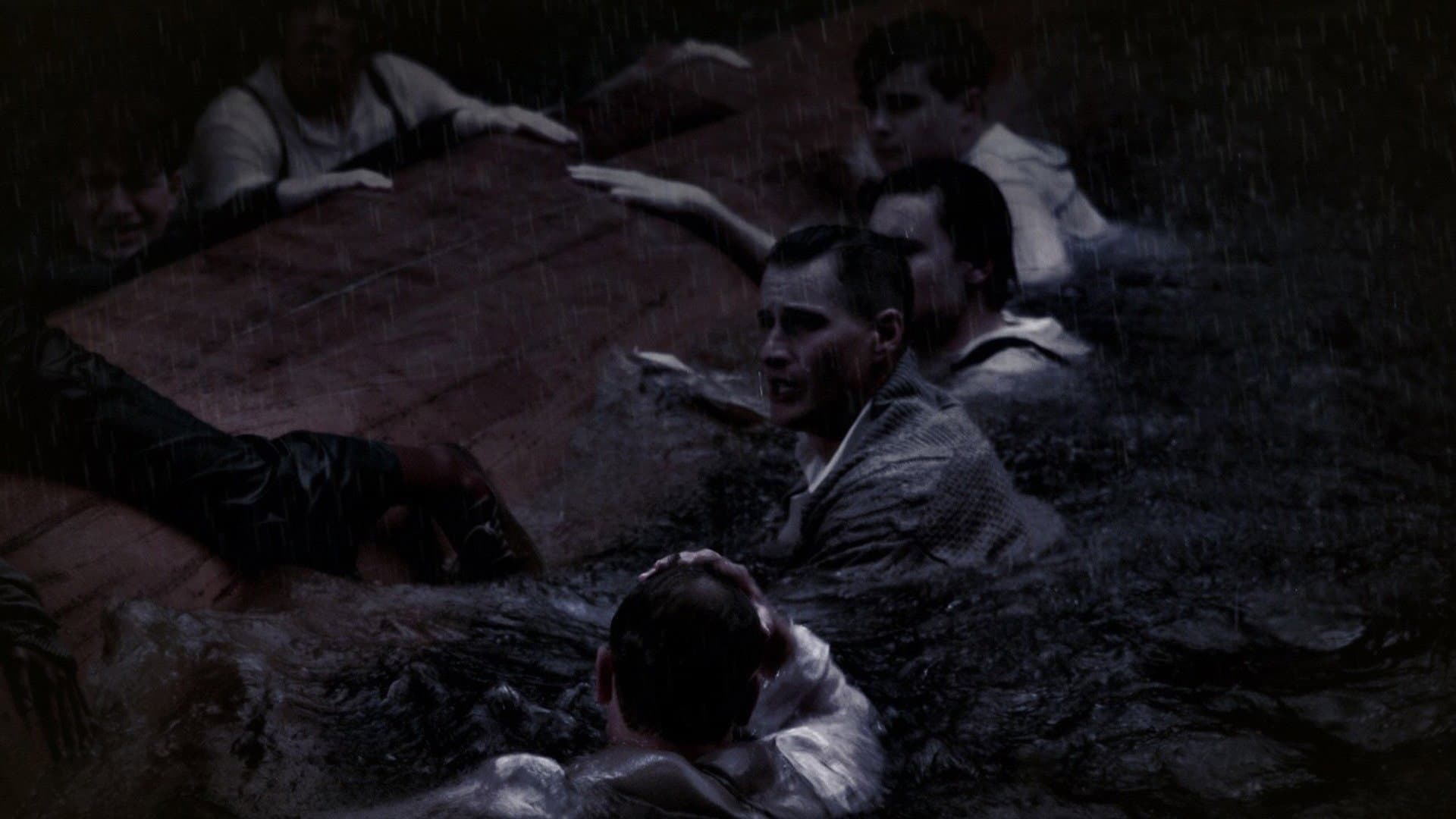 Brotherhood - immagine