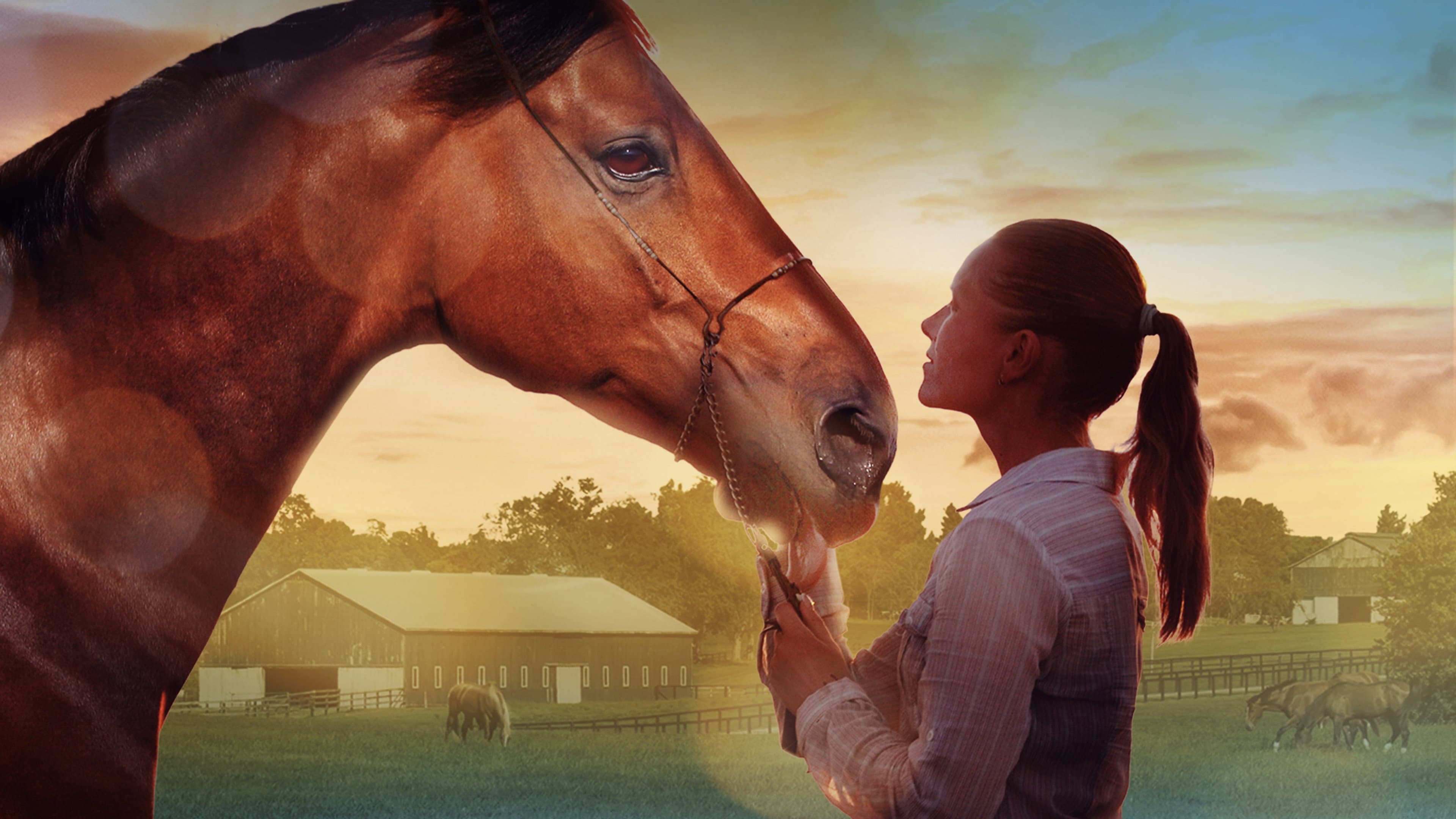 A Horse Tale - immagine
