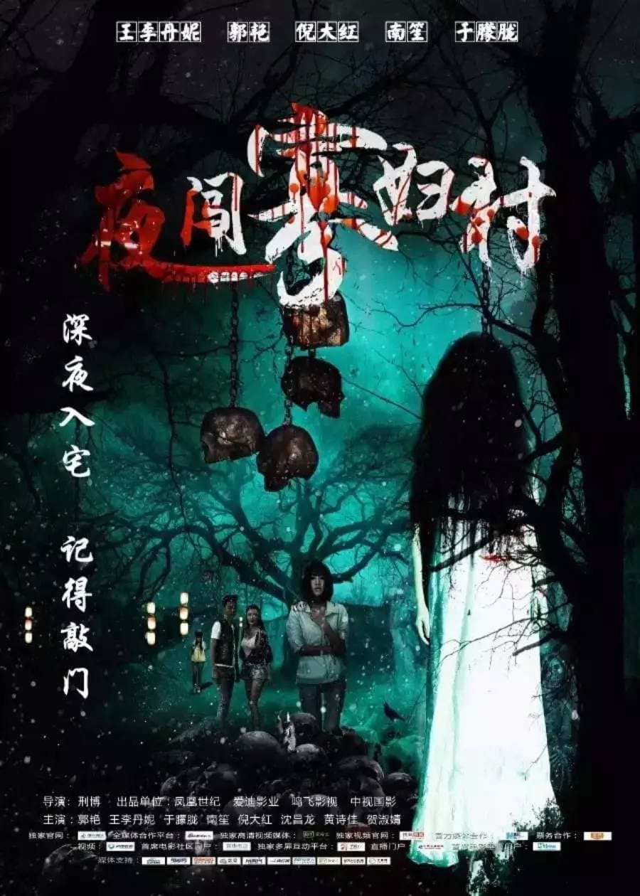 Poster di 夜闯寡妇村
