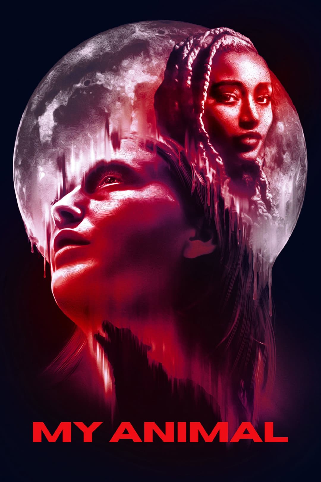 Poster di My Animal