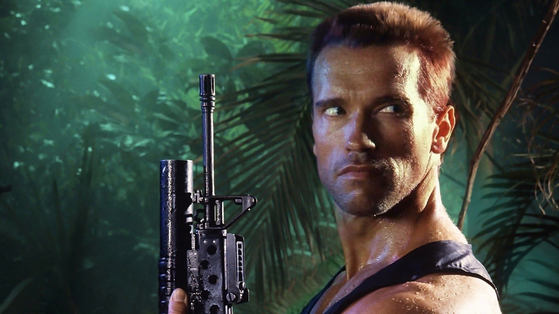 Predator - immagine