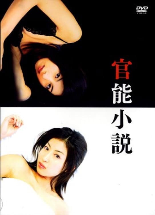 Poster di 官能小説