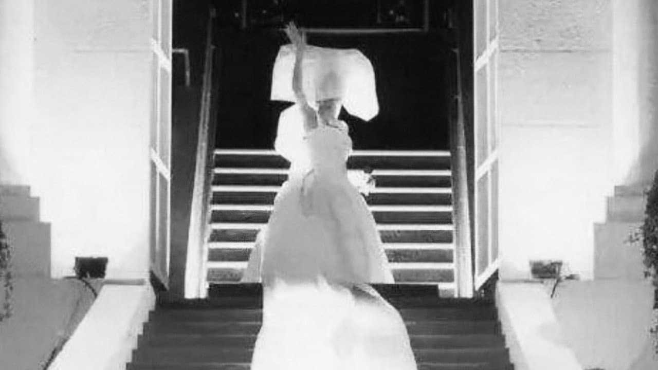 Anita Classic Moment Live - immagine