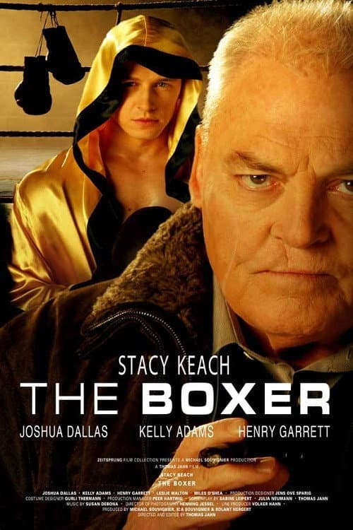 Poster di The Boxer
