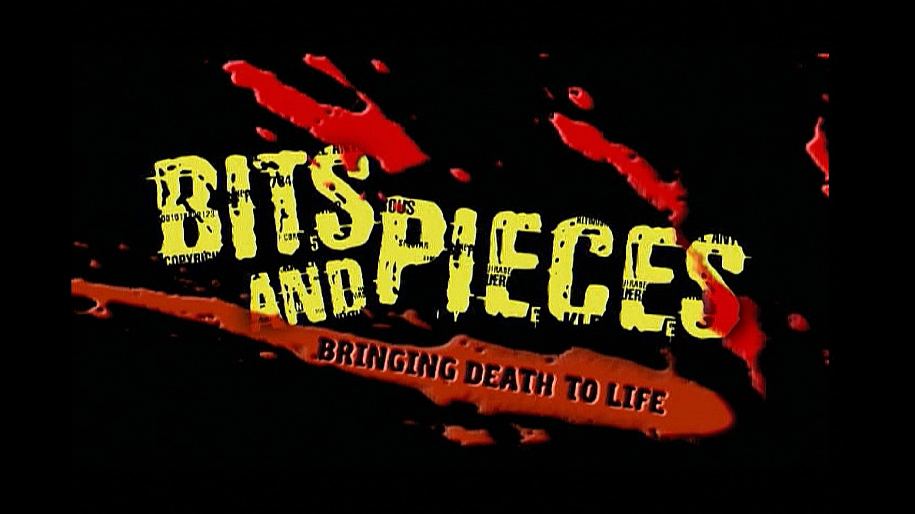 Bits and Pieces: Bringing Death to Life - immagine