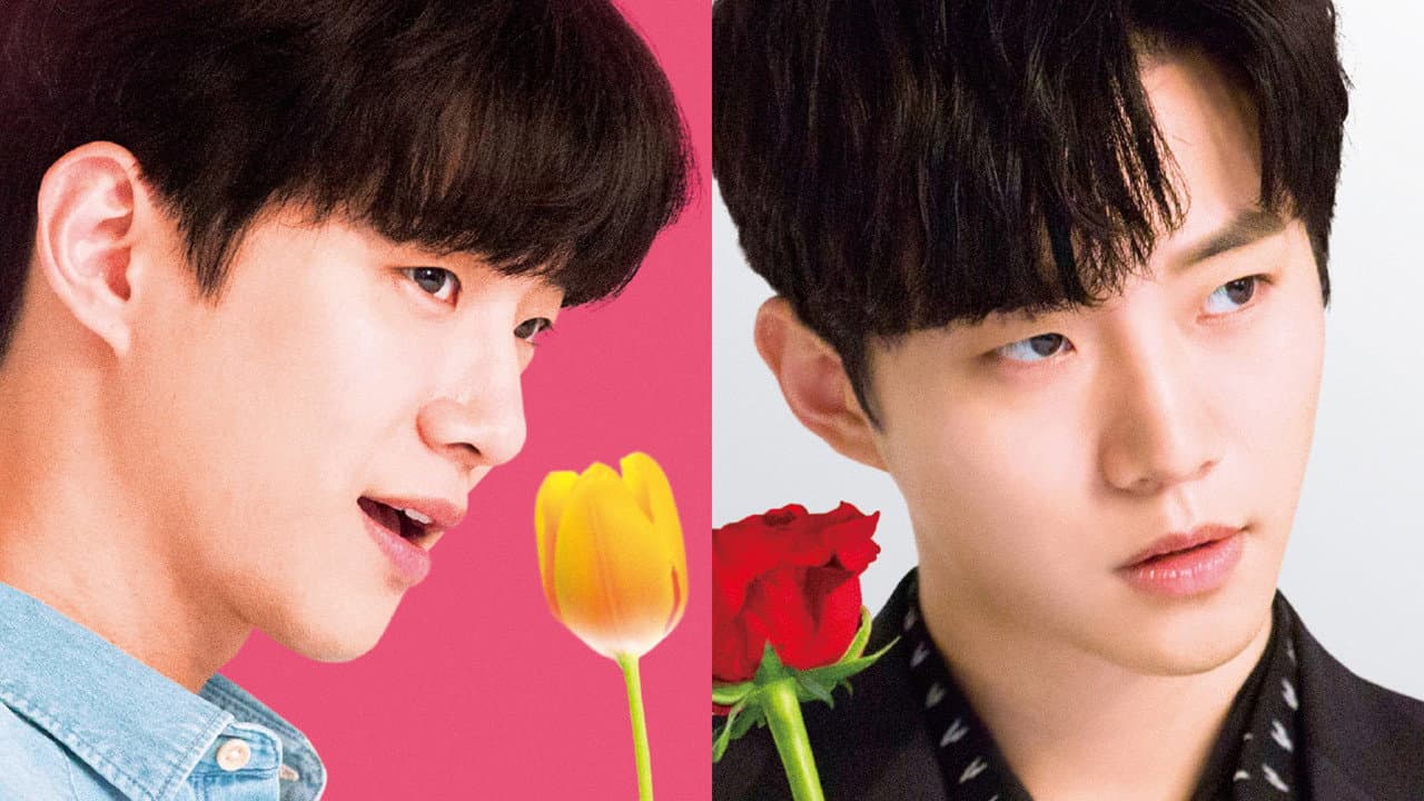 Rose and Tulip - immagine