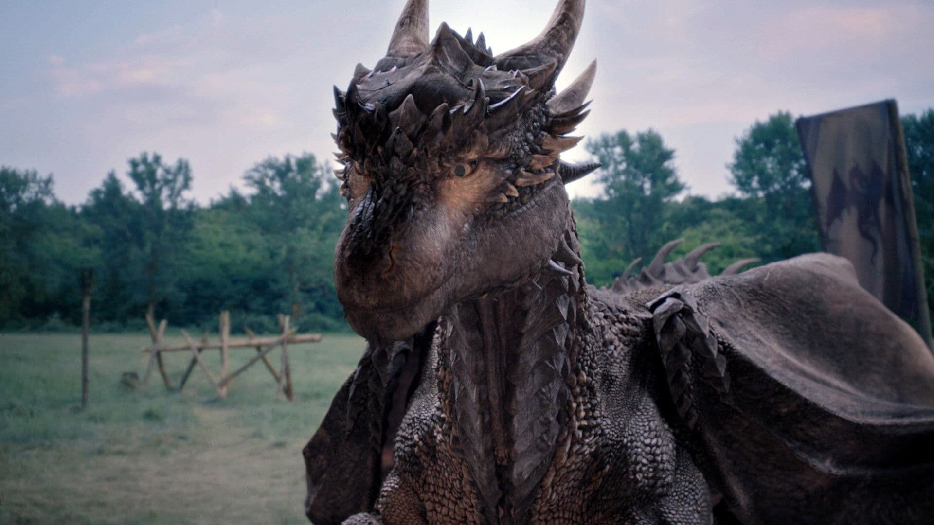 Dragonheart 4 - L'eredità del drago - immagine