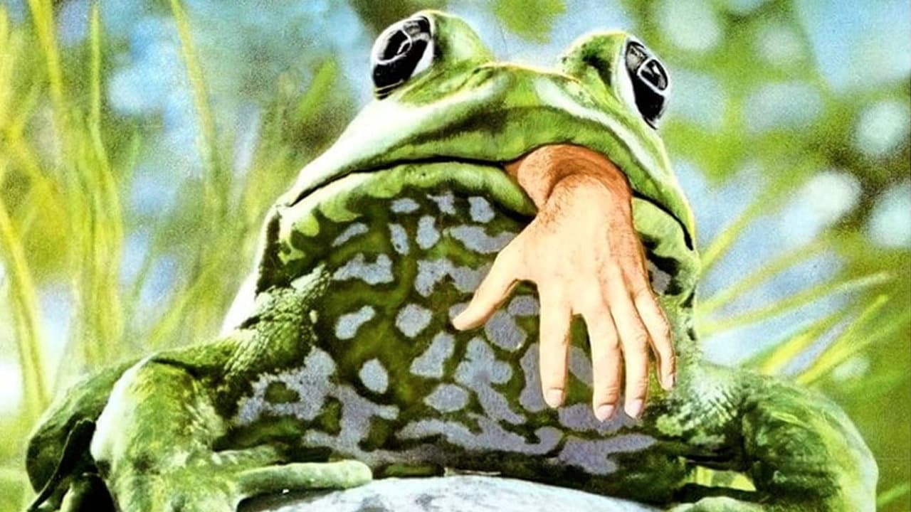 Frogs - immagine
