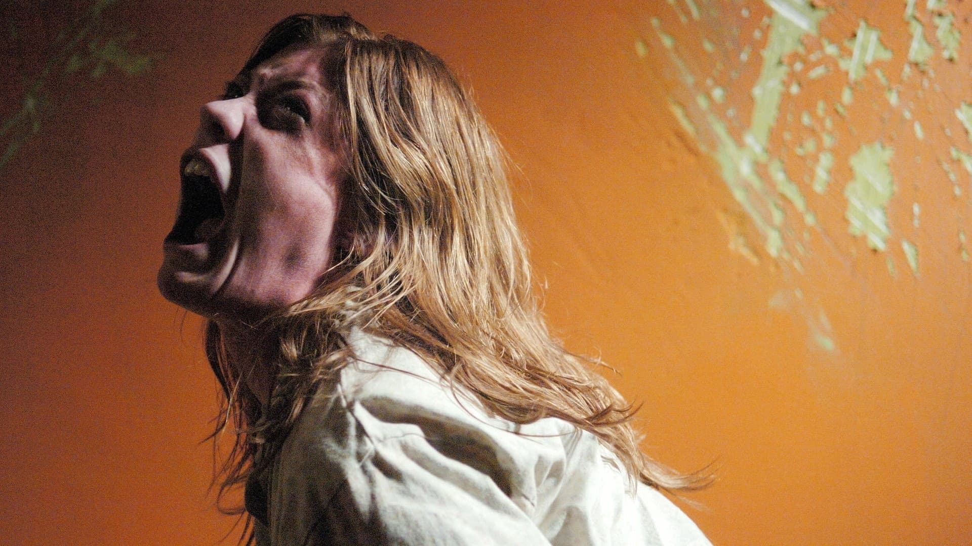 The Exorcism of Emily Rose - immagine