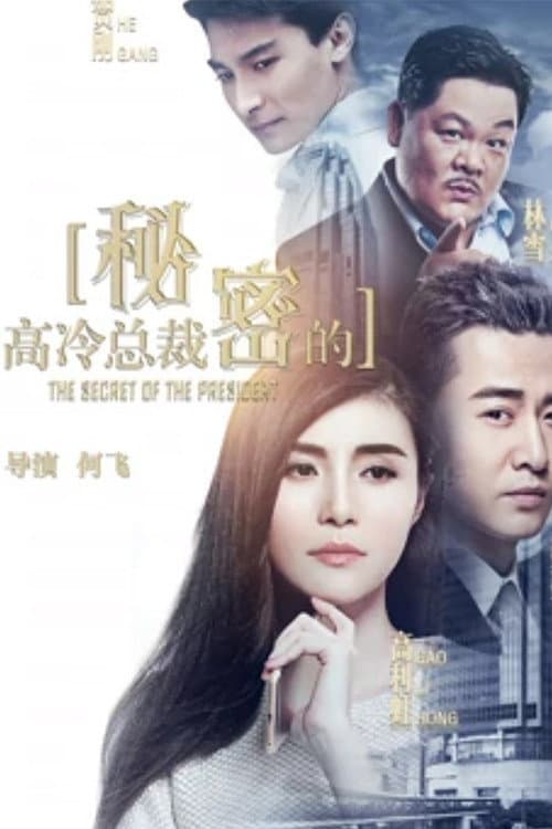 Poster di 高冷总裁的秘密