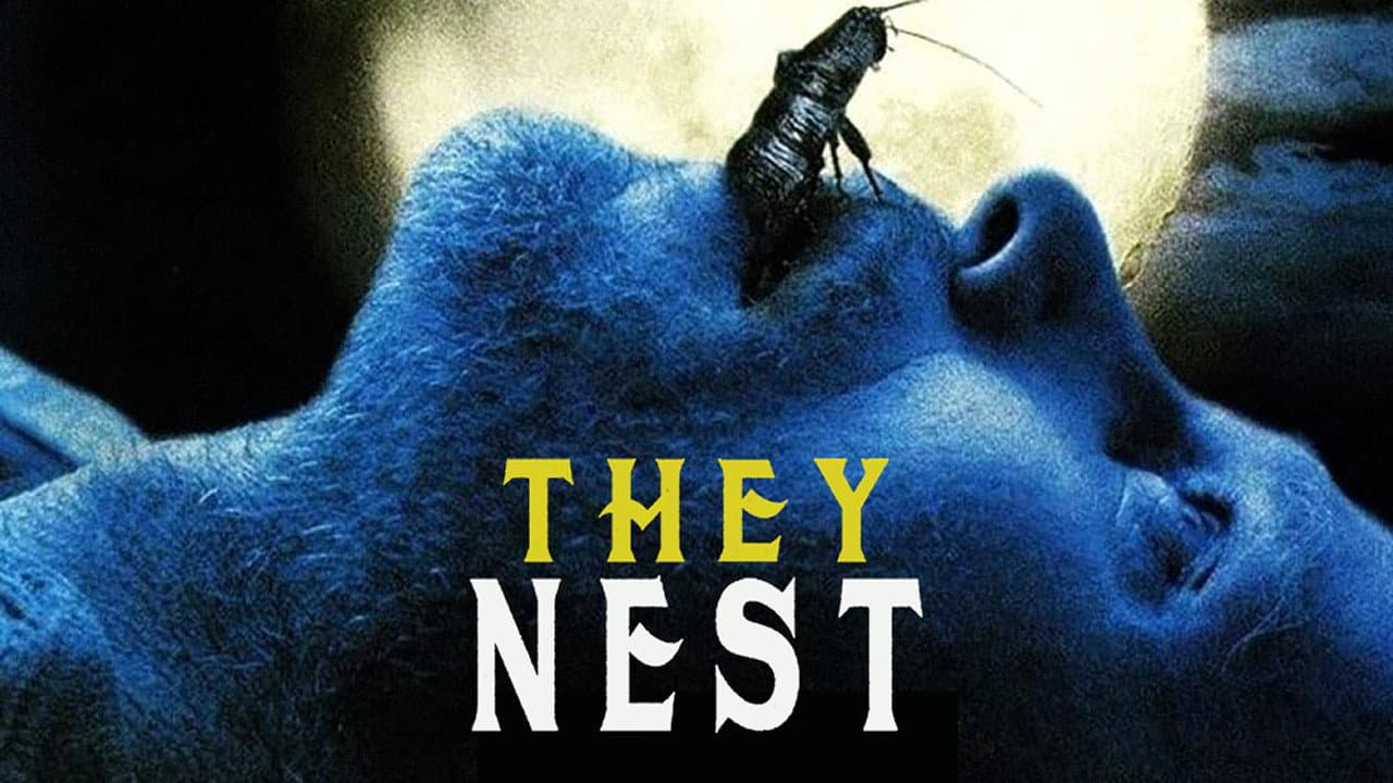 They Nest - immagine