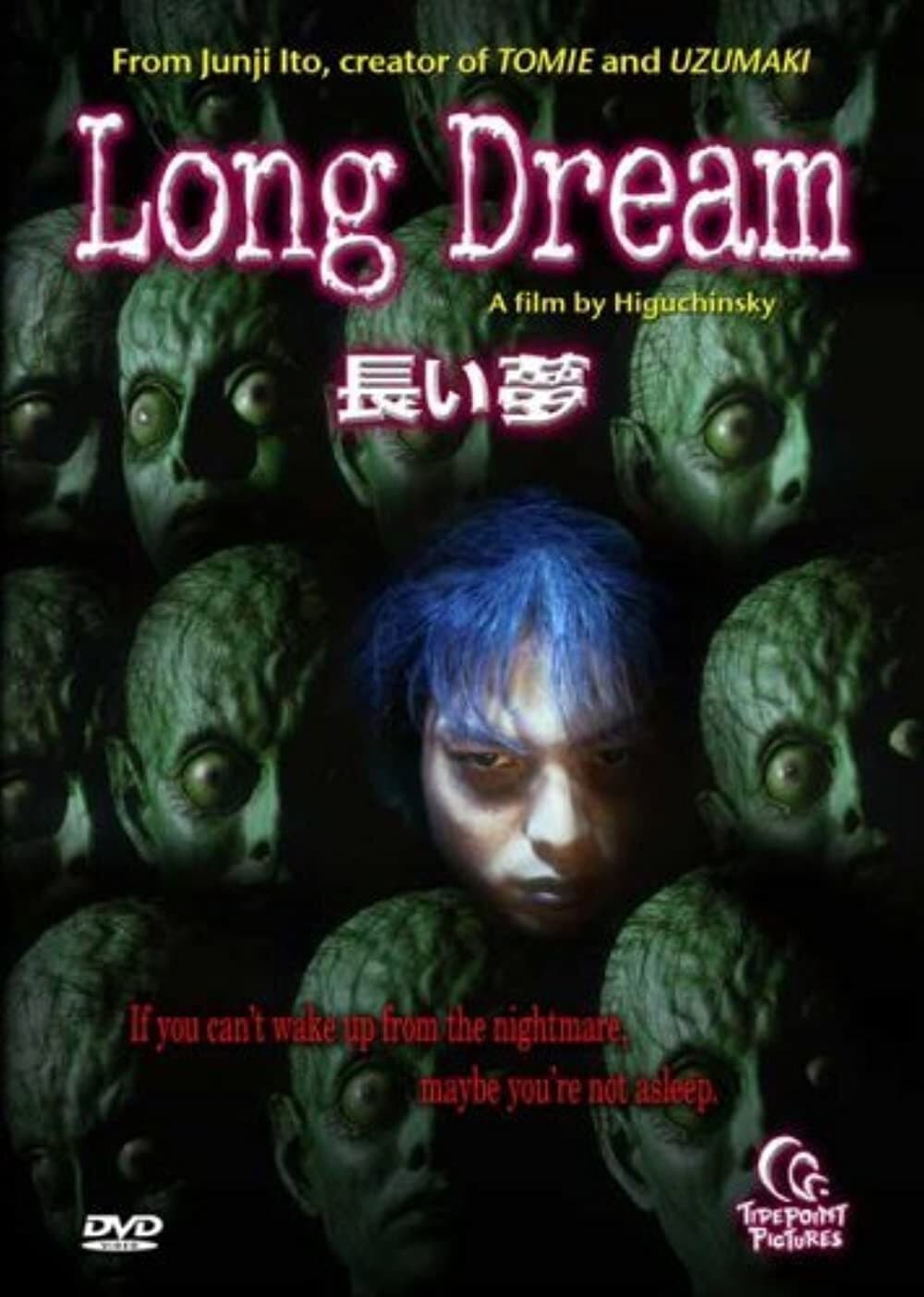 Poster di 長い夢