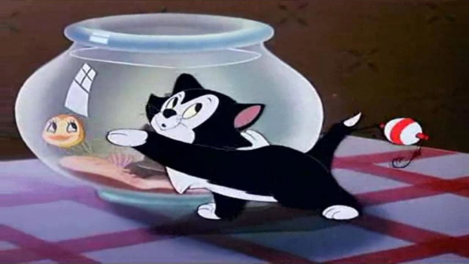 Figaro e Cleo - immagine