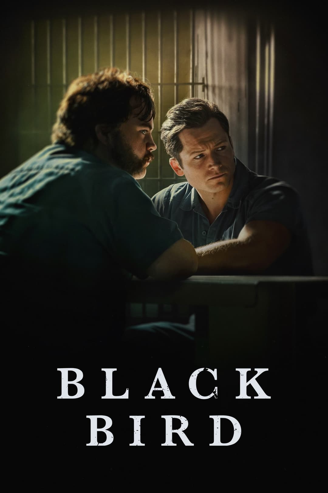 Poster di Black Bird