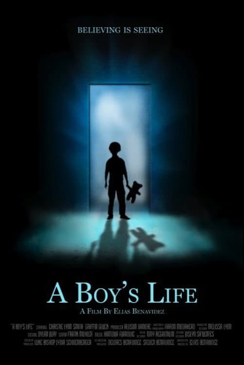 Poster di A Boy's Life