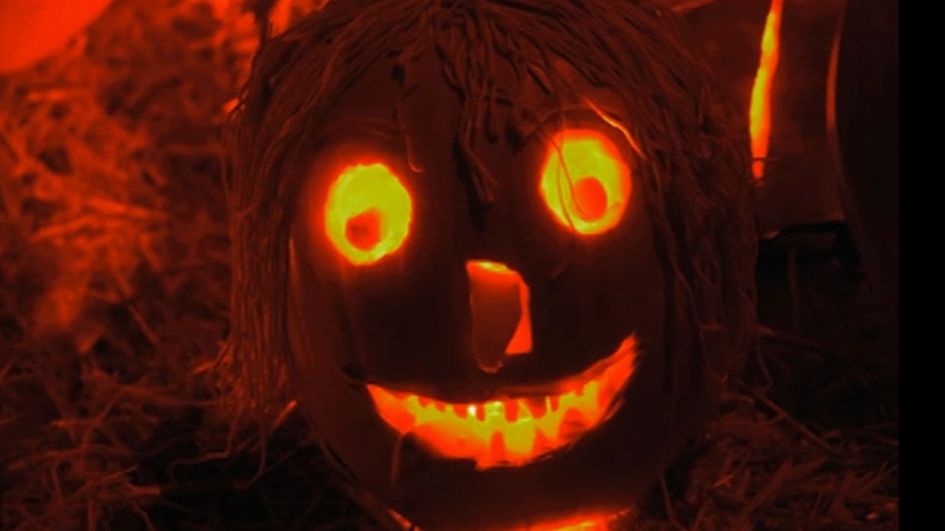 The Haunted History of Halloween - immagine