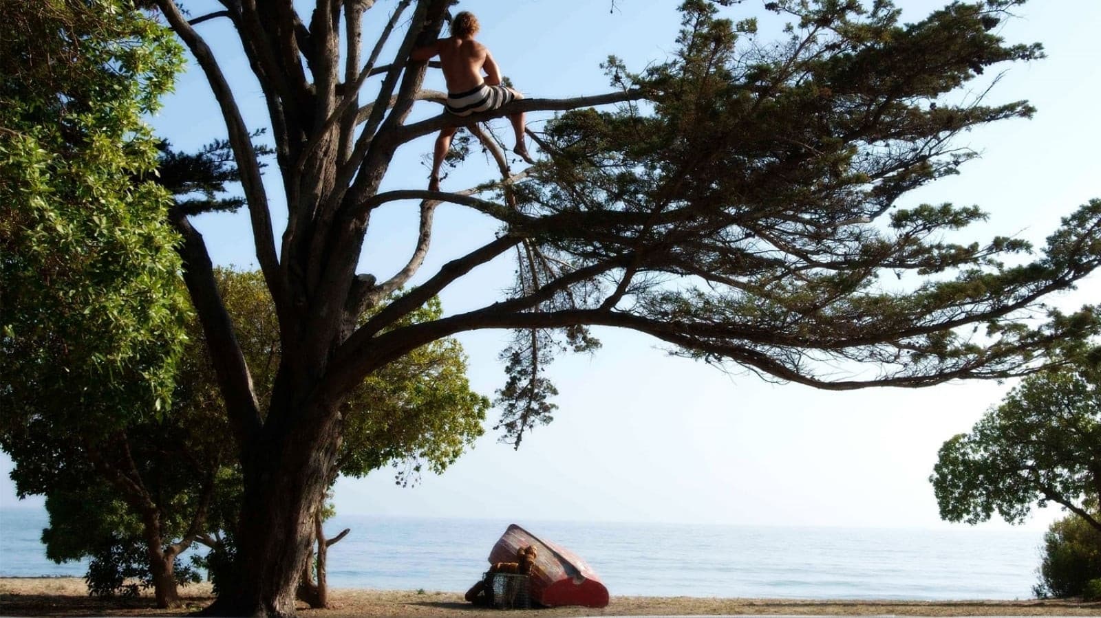 Surfer, Dude - immagine