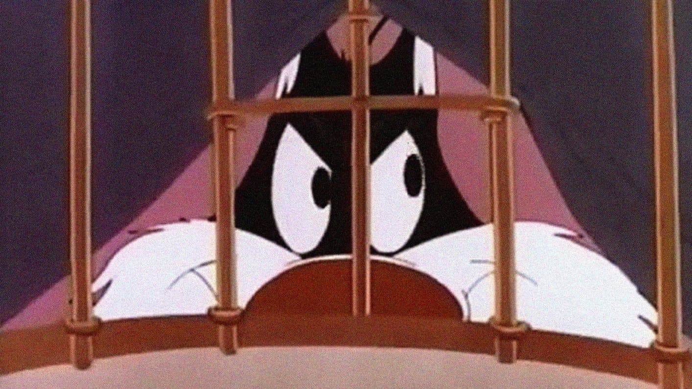 Mi è sembrato di vedere un gatto - immagine