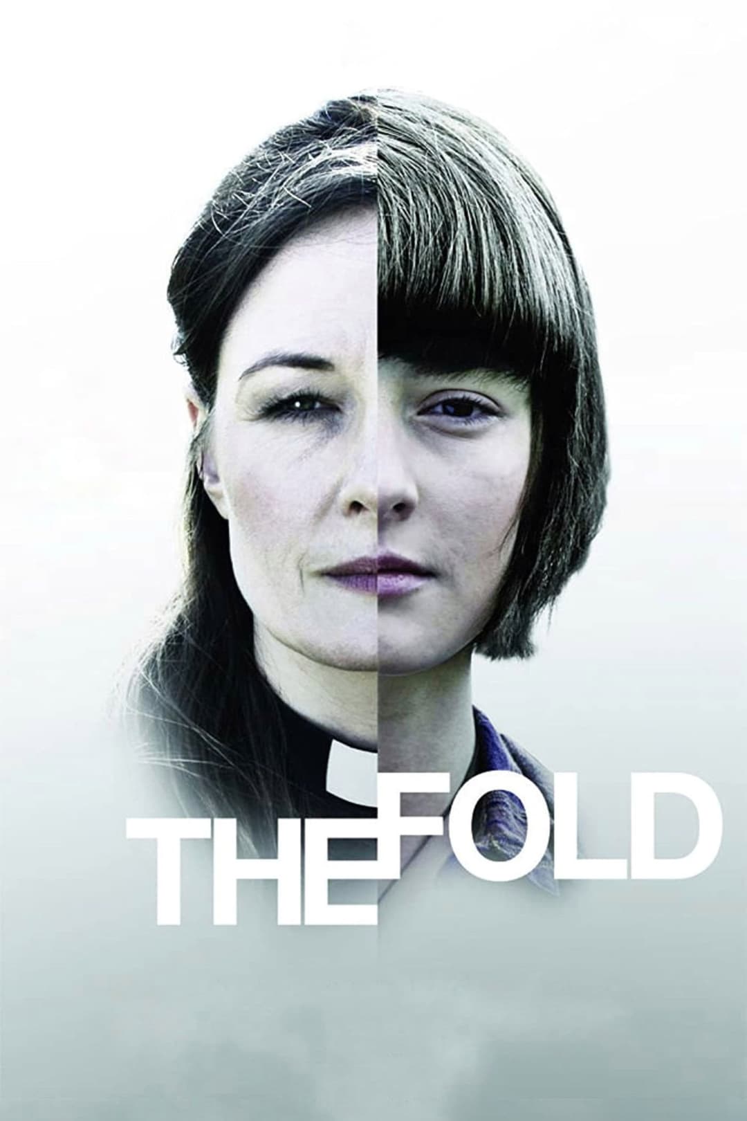 Poster di The Fold