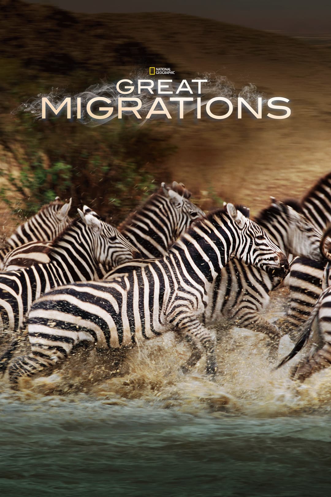 Poster di Le grandi migrazioni