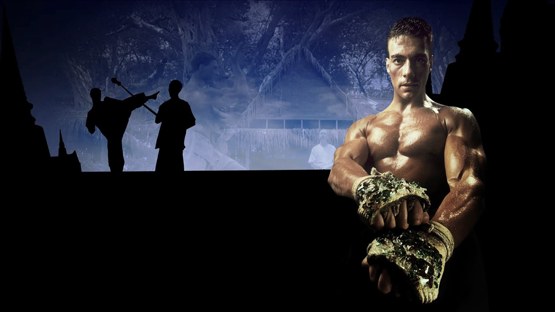 Kickboxer - Il nuovo guerriero - immagine