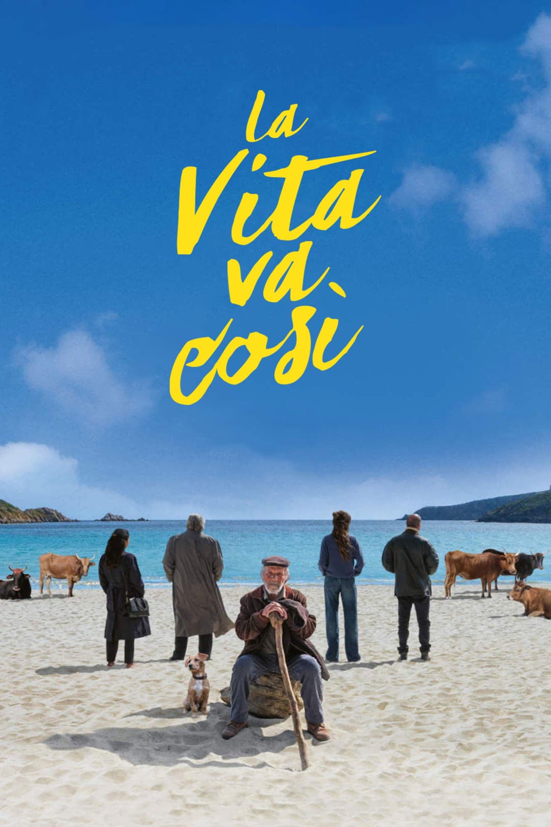 Poster di La vita va così