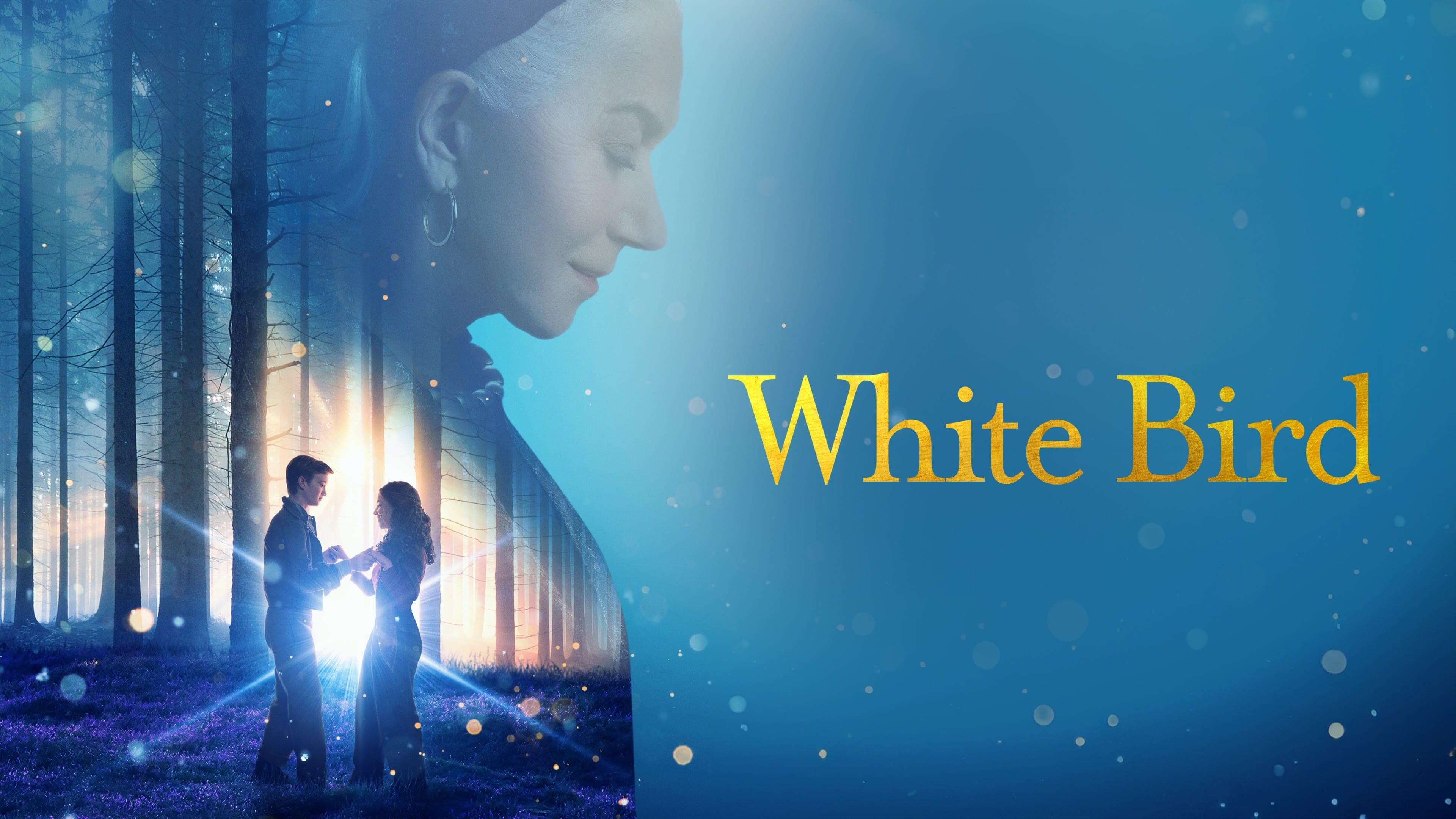 Wonder: White Bird - immagine