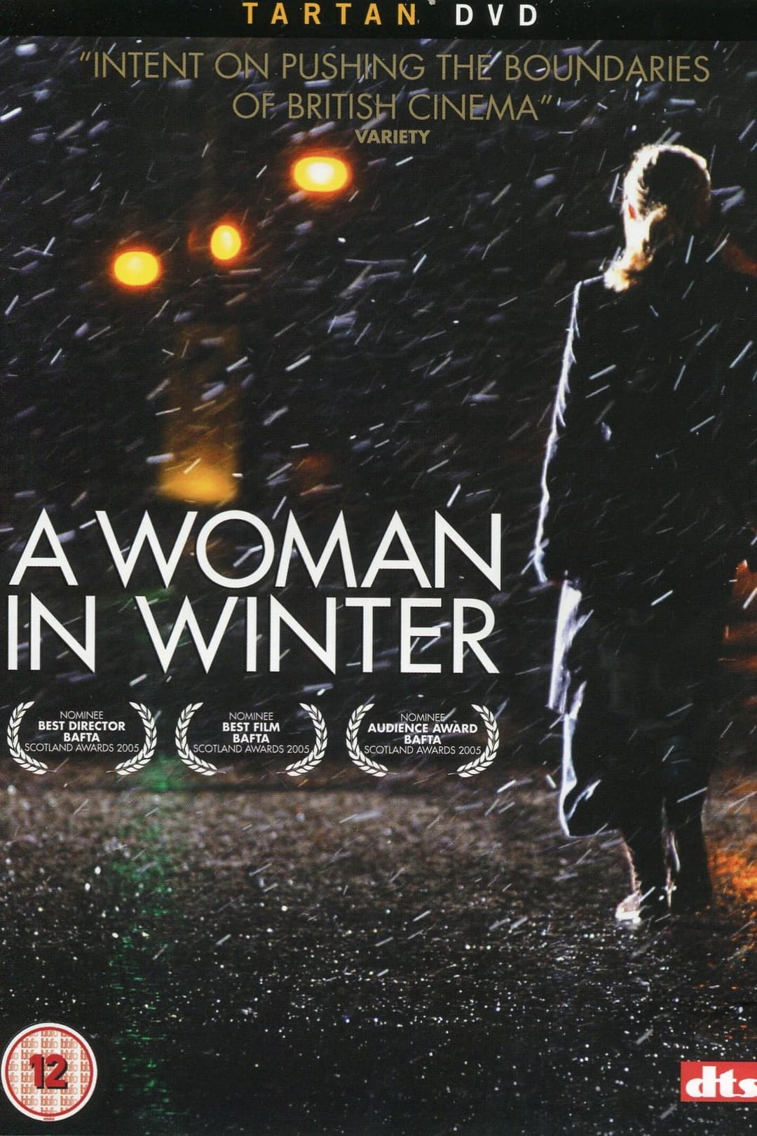 Poster di A Woman in Winter