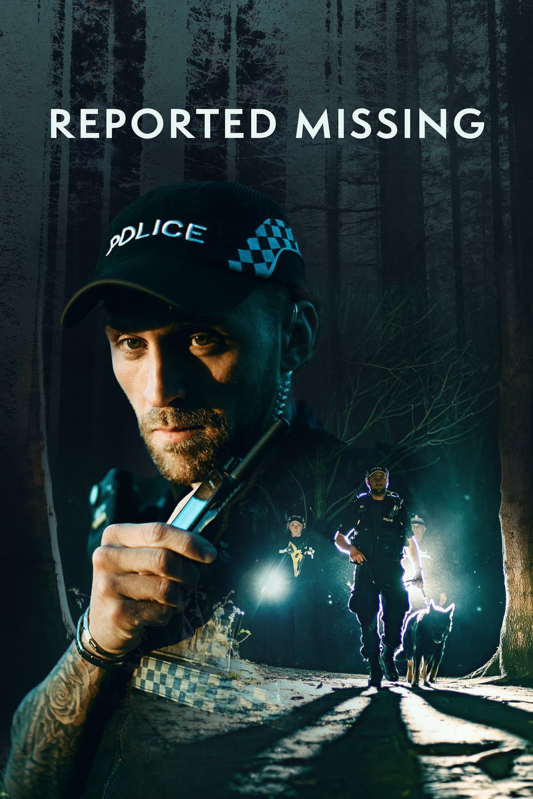 Poster di Reported Missing