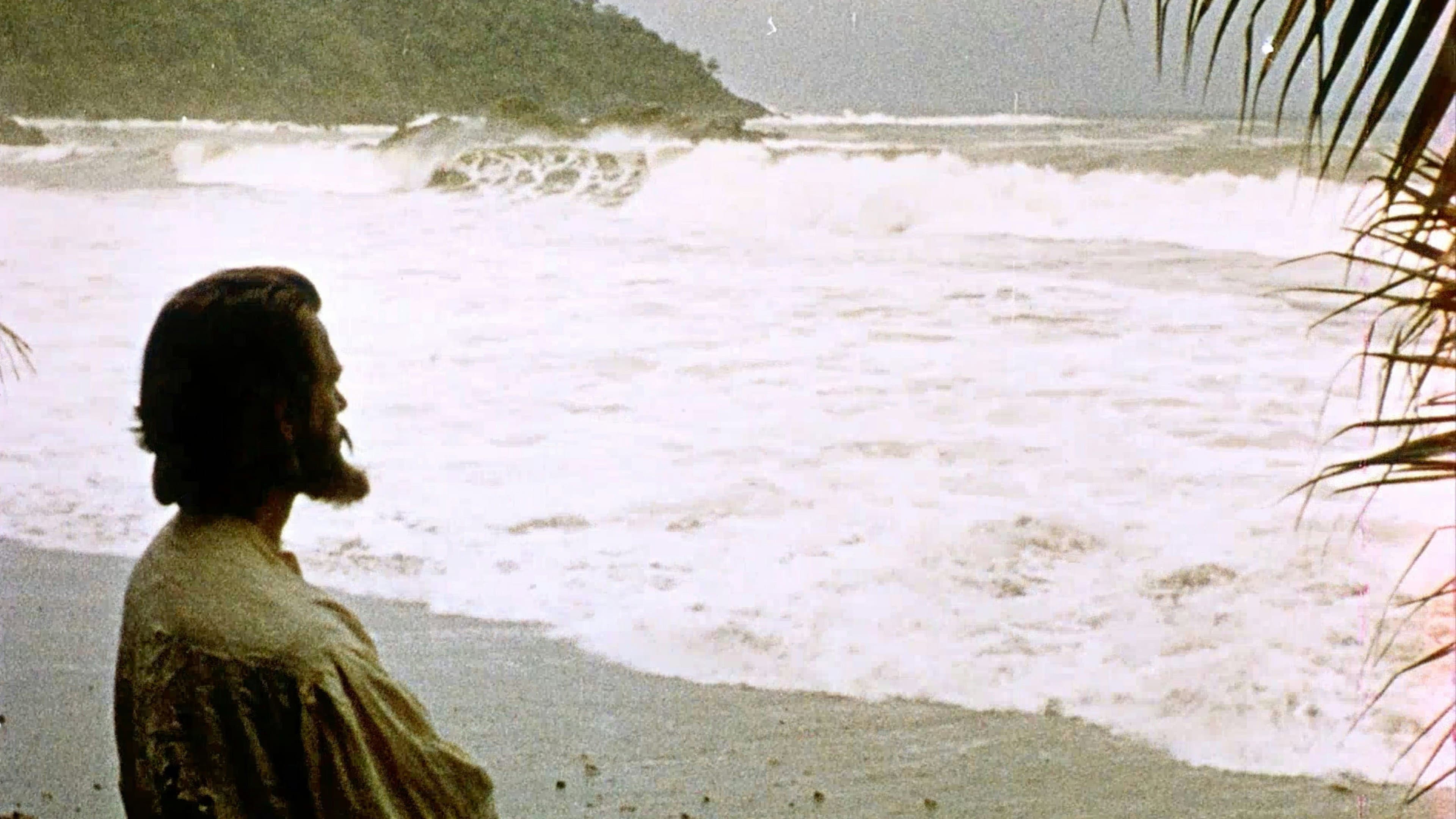 Le avventure di Robinson Crusoe - immagine