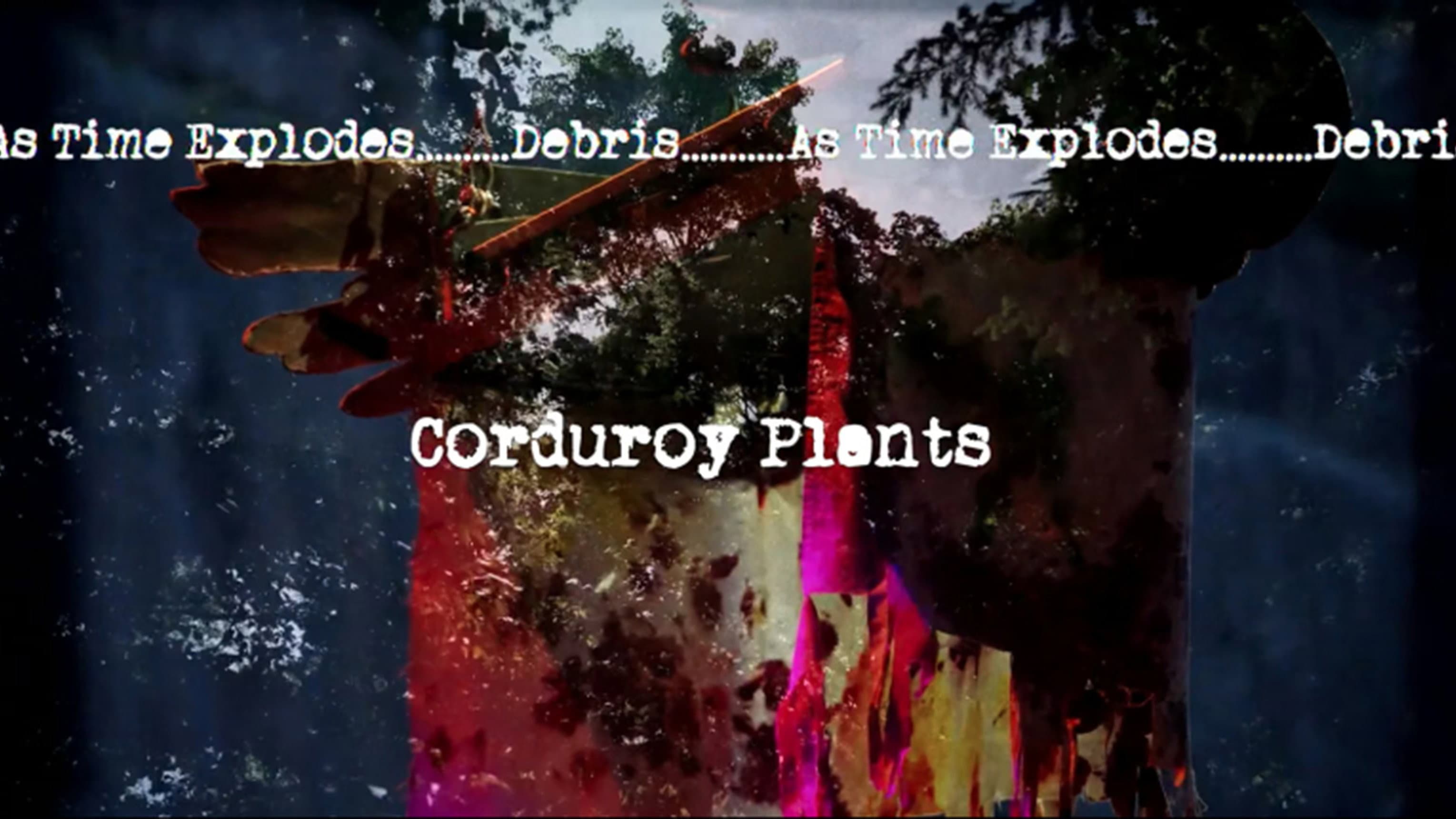 Corduroy Plants - immagine