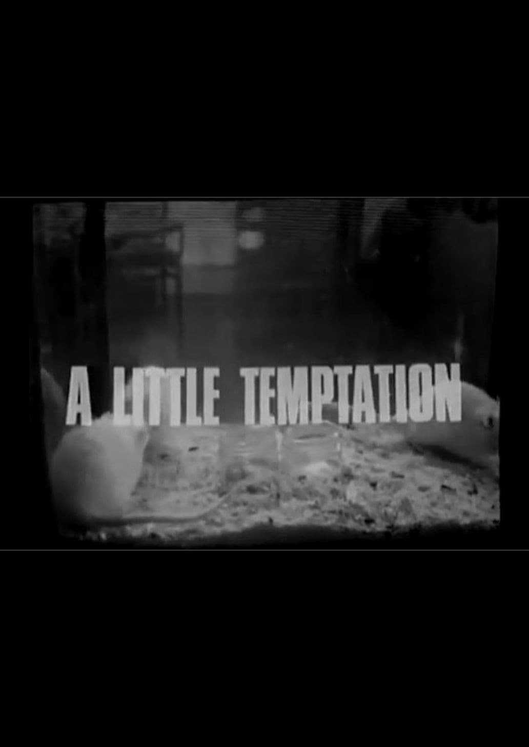 Poster di A Little Temptation
