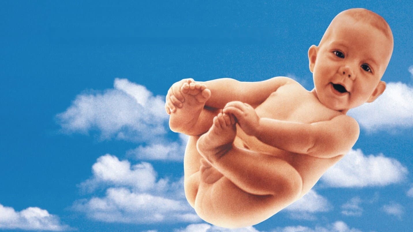 Il mondo secondo Garp - immagine