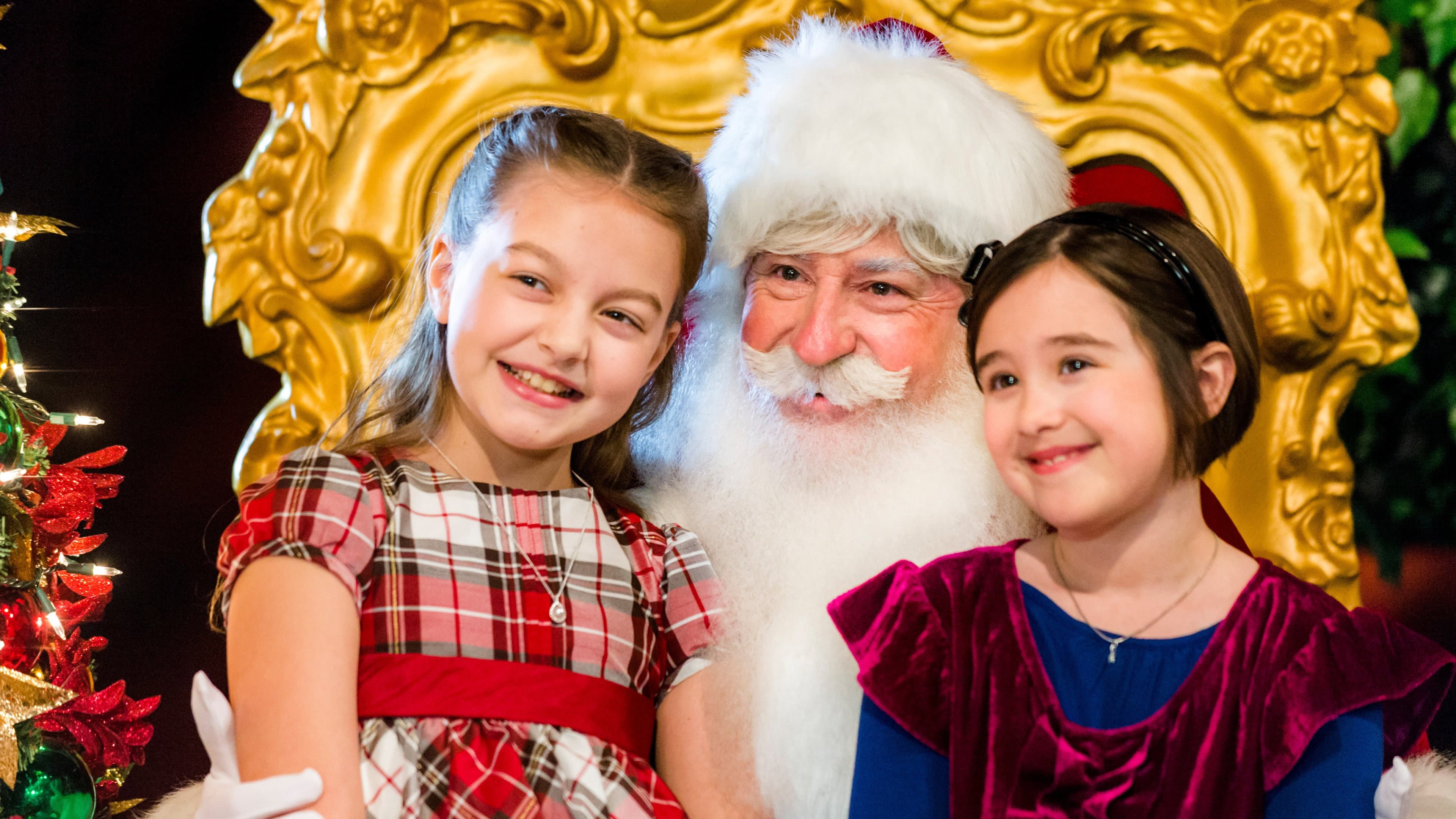 Family for Christmas - immagine