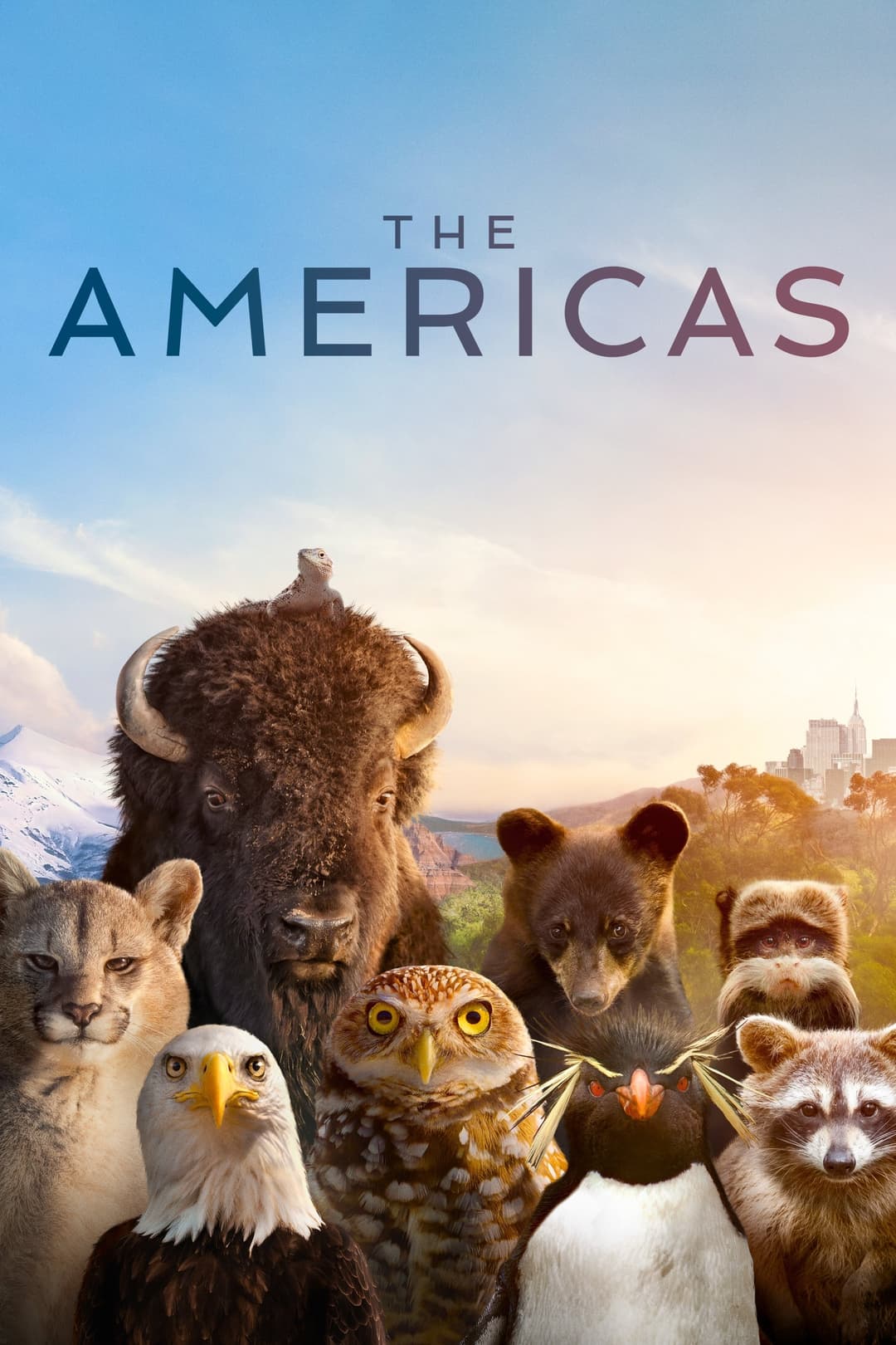 Poster di The Americas