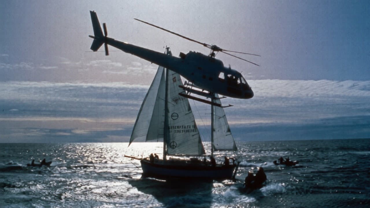 Affondate Greenpeace - immagine