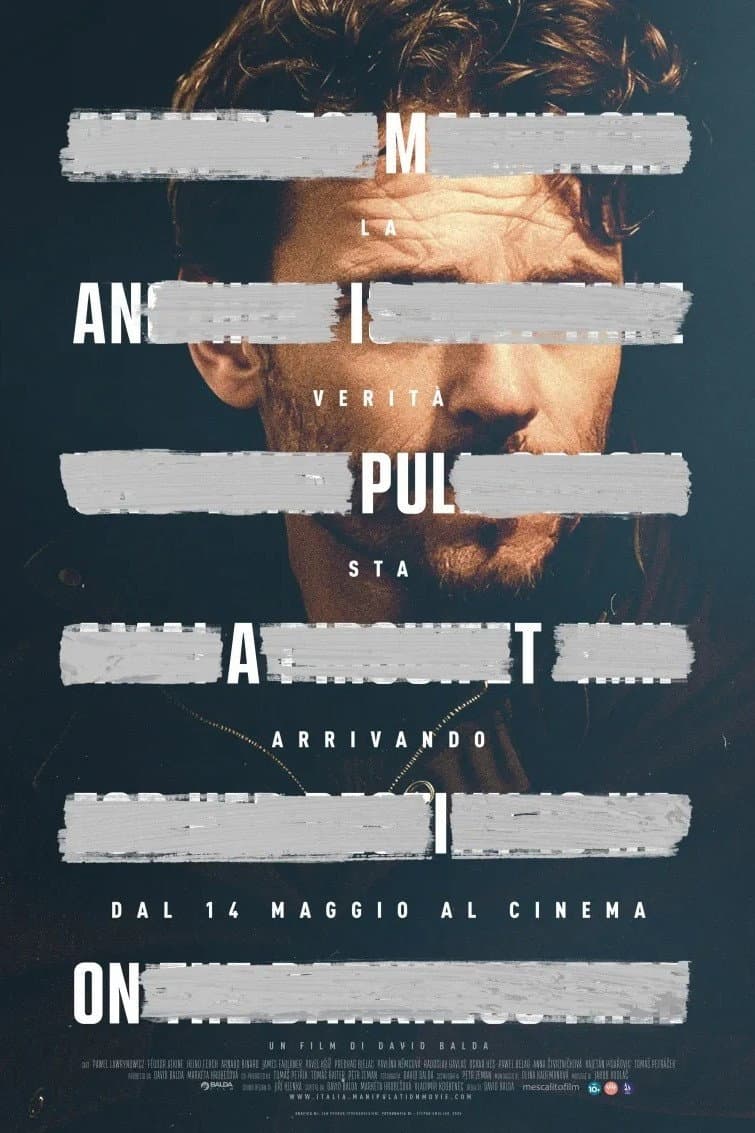 Poster di Manipulation